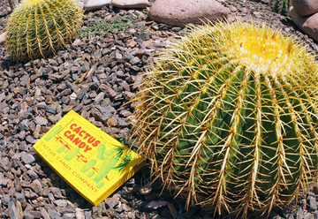 cactuscandy1.jpg