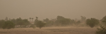 Sandstorm_again_01.jpg