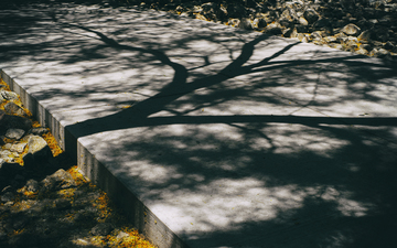 Shadows_on_Concrete_at_Noon_01.jpg