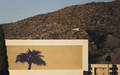 Tempe_A-mountain_palm_tree_projection.jpg