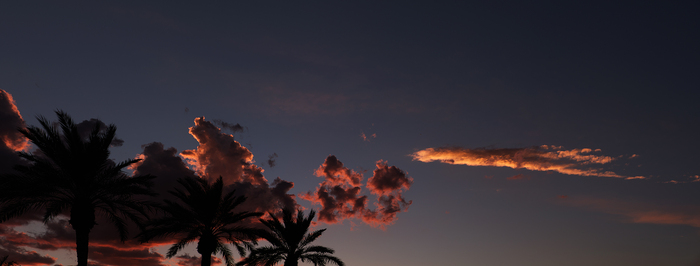 Last_September_Day_Sunset_Clouds_Palm_Trees.jpg
