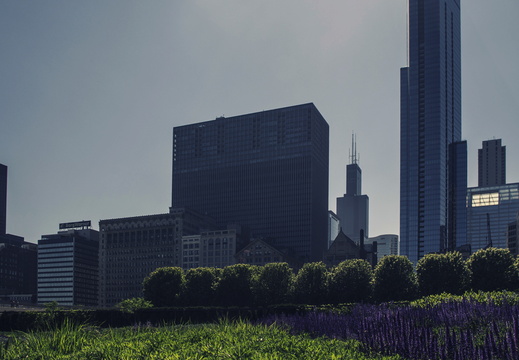 Chicago Willis Tower Park