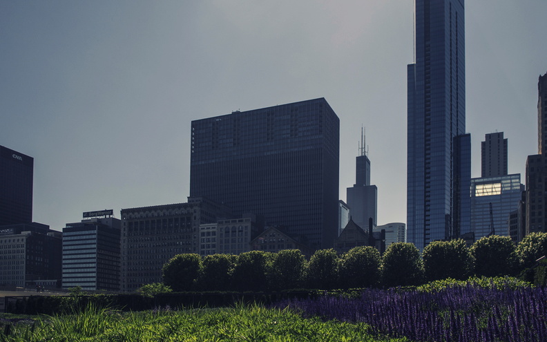 Chicago_Willis_Tower_Park.jpg