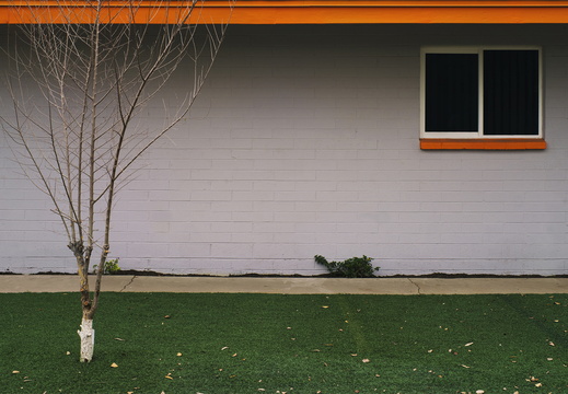 Tempe Arizona photography Orange Winter with Astroturf