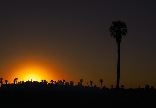 Arizona photography Steele Indian School Park Phoenix Sunset