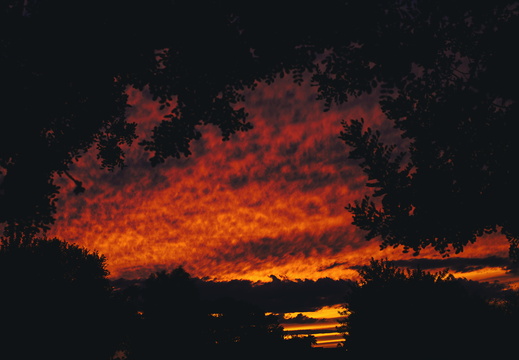 Tempe Arizona photography A sunset in Tempe